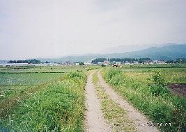 サムネイル画像8