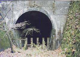 サムネイル画像2